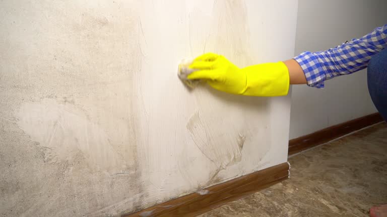 Best Indoor Air Quality Assessment  in Lock Haven, PA