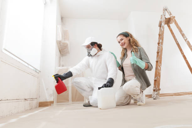 Trusted Lock Haven, PA Mold Removal Experts